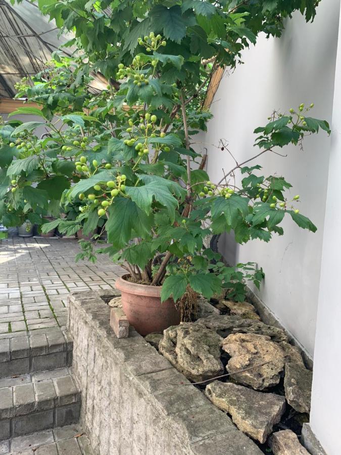 Uneed Sport Albergue Odesa Exterior foto